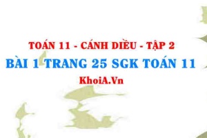 Bài 1 trang 25 Toán 11 tập 2 Cánh Diều